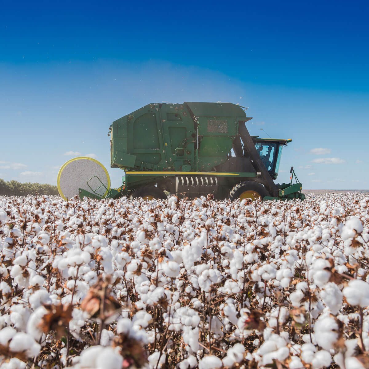 Industrial spinning machines converting organic cotton fibers into uniform yarn