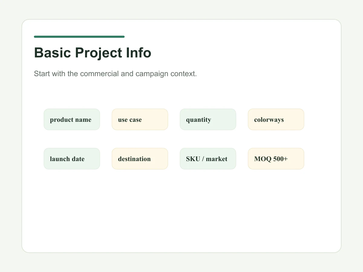 Basic project information section for custom tote bag tech pack