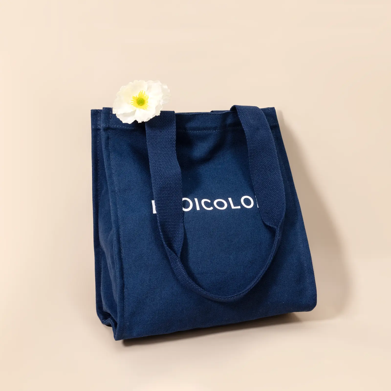 ITT061 – Cotton Canvas Tote Bags Bulk – Custom Logo, Eco Branding, Print Ready  Wholesale B2B Suppl